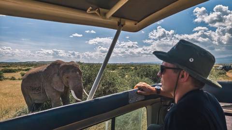 Kruger Safari & The Panorama Route - October 2026