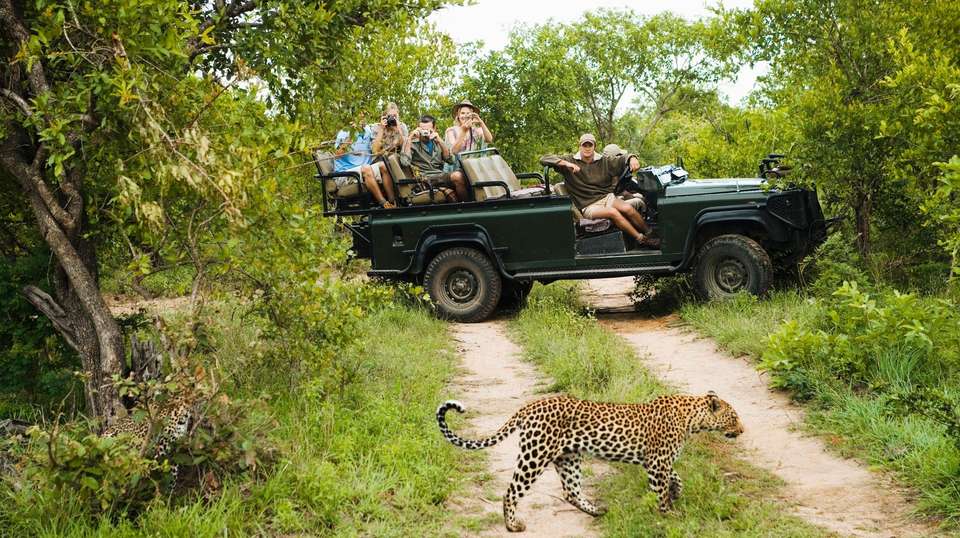 Kruger Safari & the Panorama Route - Expat Explore - South Africa - Image 6