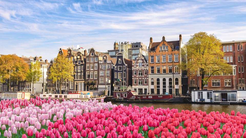 Eastern Adventure - Expat Explore - Holland - Image 3