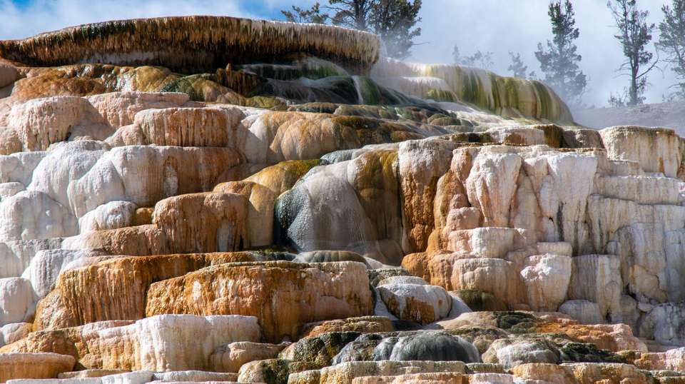 Yellowstone Discovery - Insight Vacations - USA - Image 3