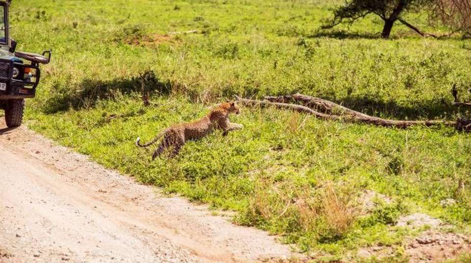 Tarangire National Park Day Trip Safari - Bush 2 City Adventure - Tanzania - Image 10