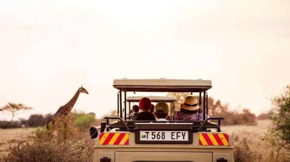 Tarangire National Park Day Trip Safari - Bush 2 City Adventure - Tanzania - Image 6