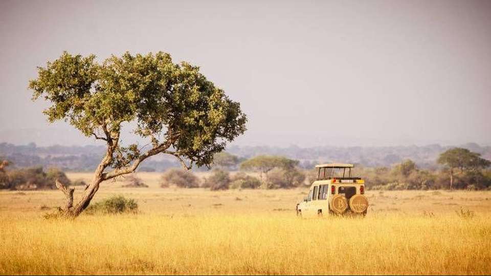 Tarangire National Park Day Trip Safari - Bush 2 City Adventure - Tanzania - Image 5