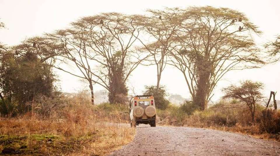 Tarangire National Park Day Trip Safari - Bush 2 City Adventure - Tanzania - Image 3