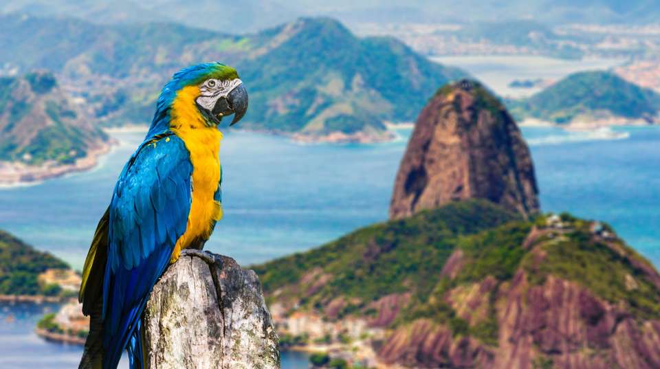 18 Days Couple getaway to South America - Say Hueque Argentina & Chile Journeys - Peru - Image 9