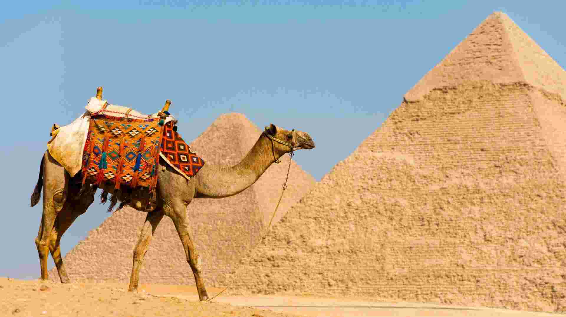 Pyramid City - 4 Days