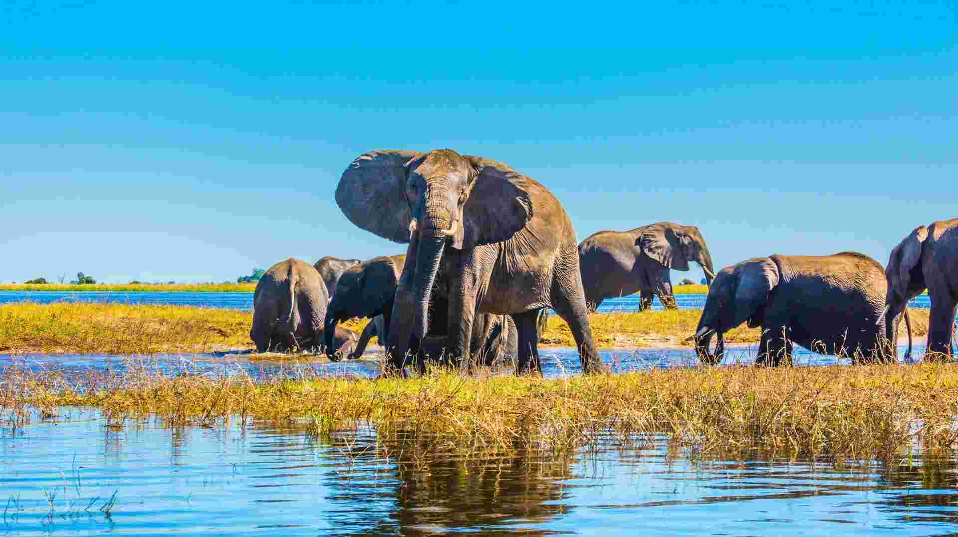 Victoria Falls and Botswana