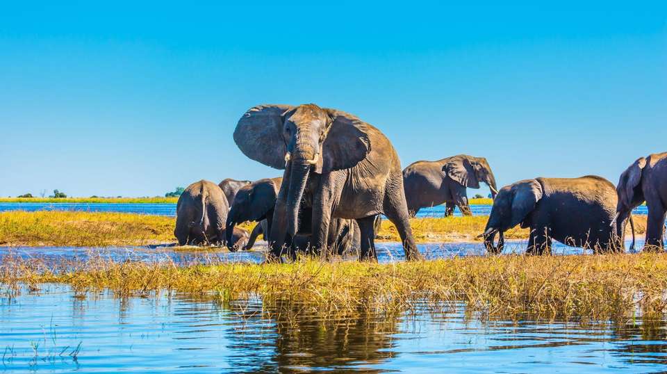 Victoria Falls and Botswana - Contiki - Zimbabwe - Image 1