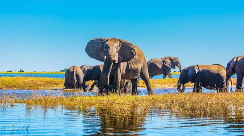 Victoria Falls Waterfalls Tour: Victoria Falls And Botswana