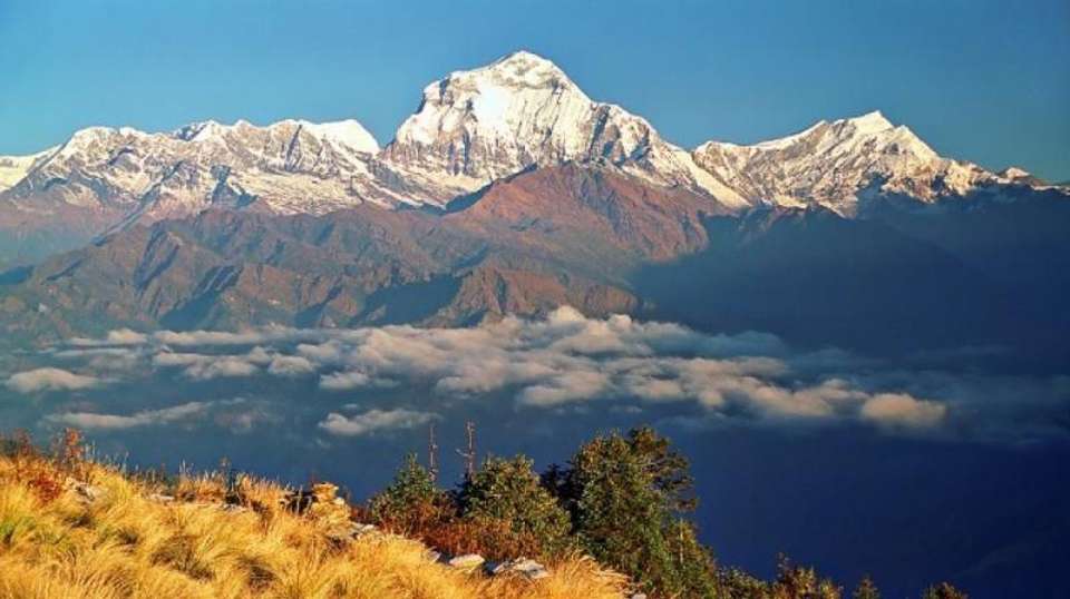 Poonhill Tea House Trek 7-Days - Nepal Lion Tours And Treks Pvt Ltd - Nepal - Image 9