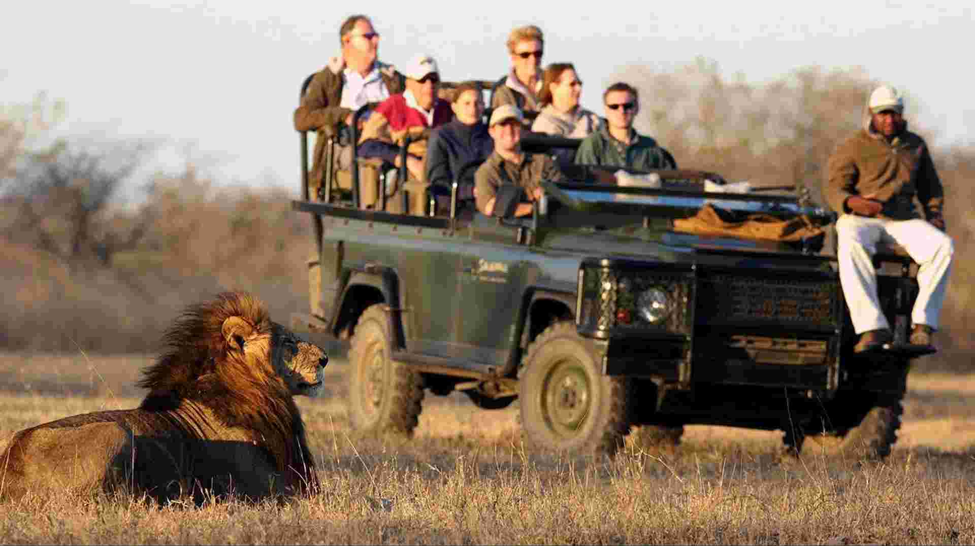 9 Day Luxury Cape Town, Winelands & Kruger Tour 