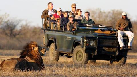 Africa Wildlife Safaris And Game Drives Tour: 9 Day Luxury Cape Town, Winelands & Kruger Tour