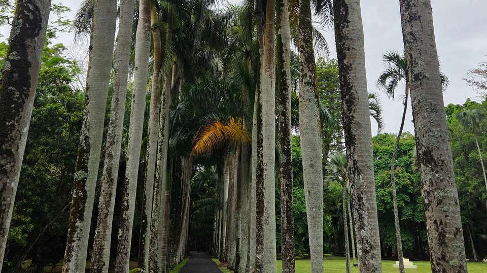North and South Island Explorer Package - Salty Travel - Mauritius - Image 3