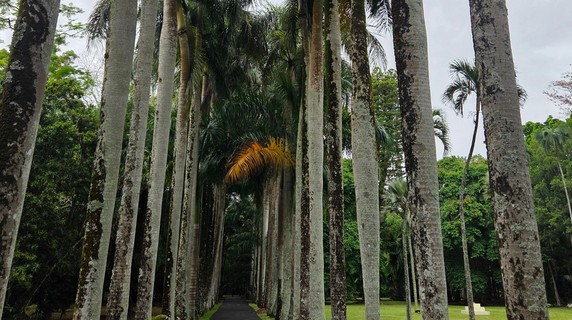 Image 3 of 6