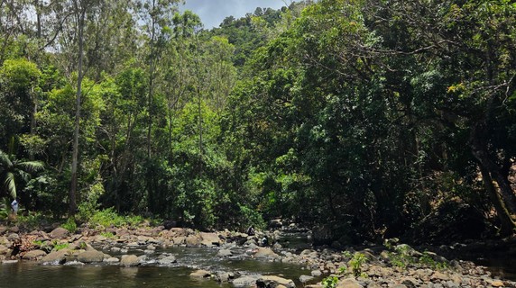 Image 5 of 6