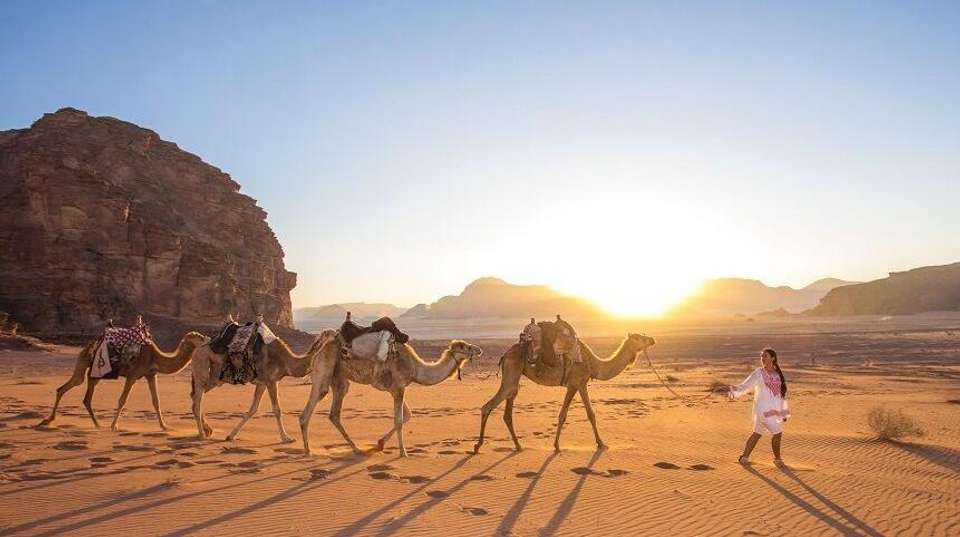 Private Tour of Jordan in Five Days - Jordan Horizons Tours - Jordan