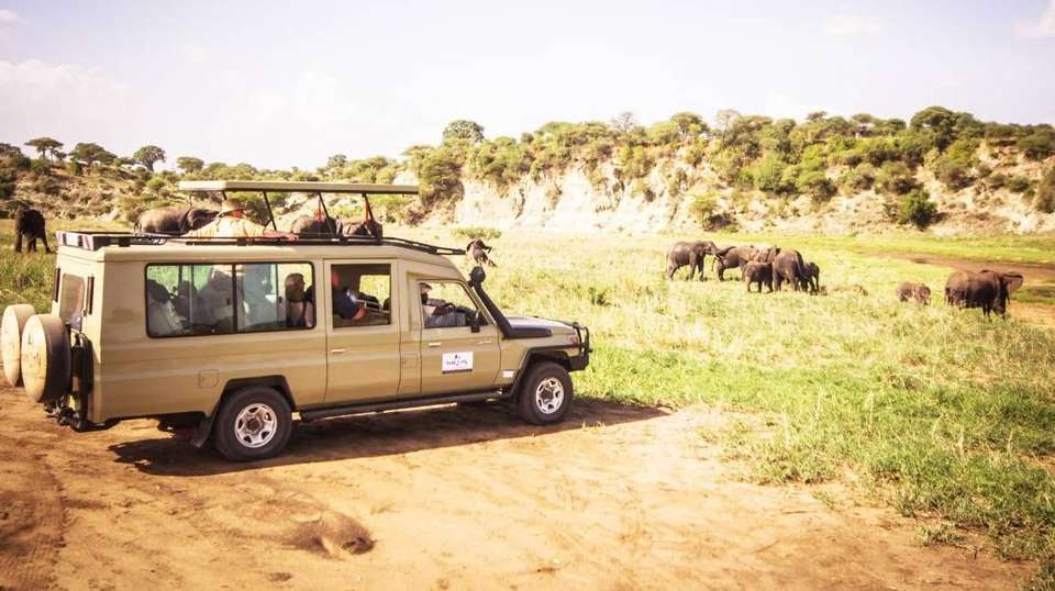 10 Days – Hidden Safari Treasures of Southern Tanzania - Bush 2 City Adventure - Tanzania - Image 11