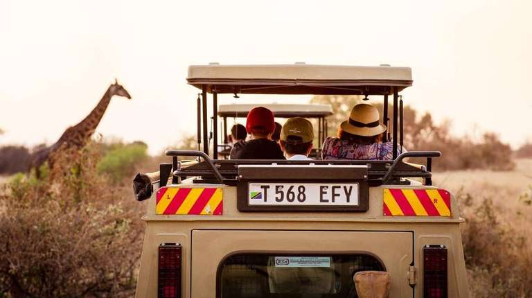 7-Day Nyerere, Mikumi & Udzungwa Tanzania Safari trip - alternative tour available