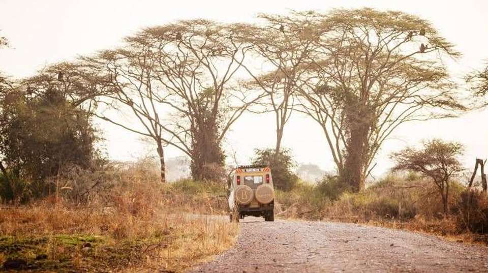 6 Days Safari - Nyerere's Park & Mikumi Safari - Bush 2 City Adventure - Tanzania - Image 19