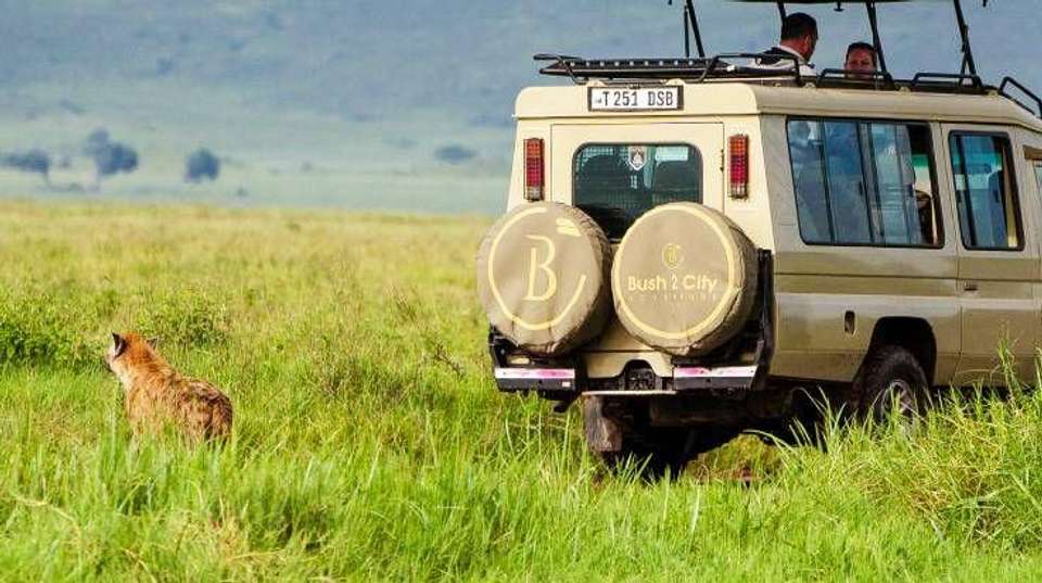 6 Days Safari - Nyerere's Park & Mikumi Safari - Bush 2 City Adventure - Tanzania - Image 16