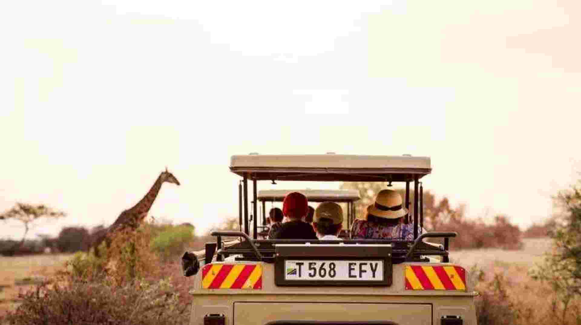 6 Days Safari - Nyerere's Park & Mikumi Safari