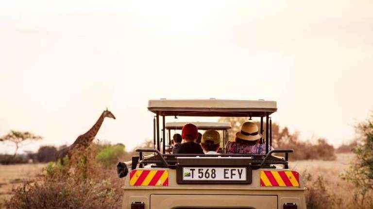 6 Days Safari - Nyerere's Park & Mikumi Safari trip - alternative tour available