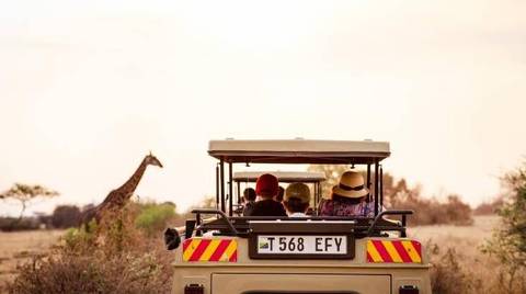 6 Days Safari - Nyerere's Park & Mikumi Safari