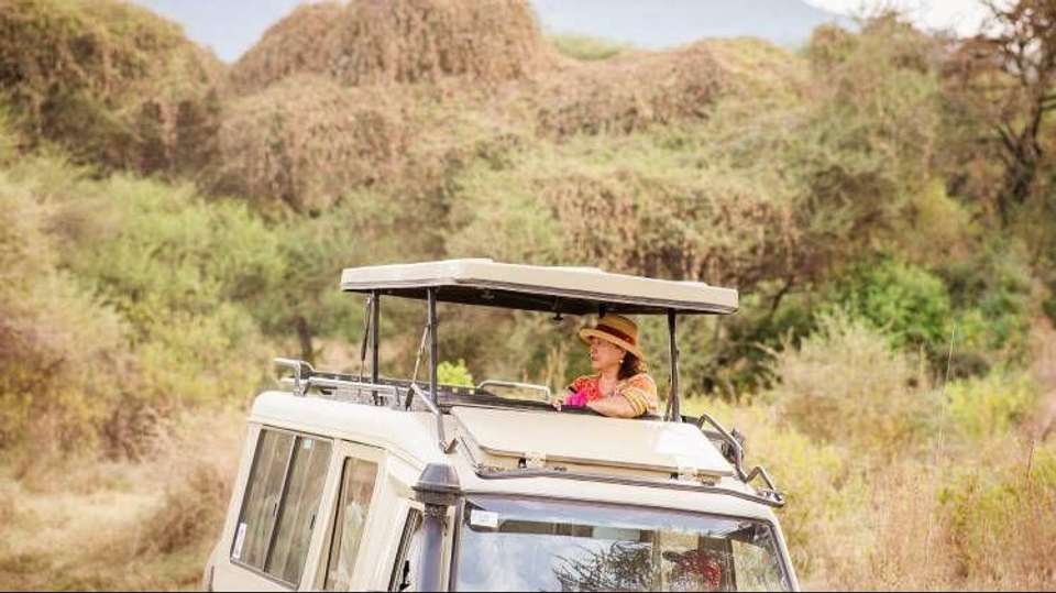 6 Days Safari - Nyerere's Park & Mikumi Safari - Bush 2 City Adventure - Tanzania - Image 13