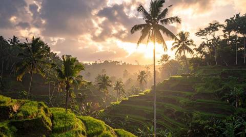 Bali Culture And Adventure In 11 Days - October 2026