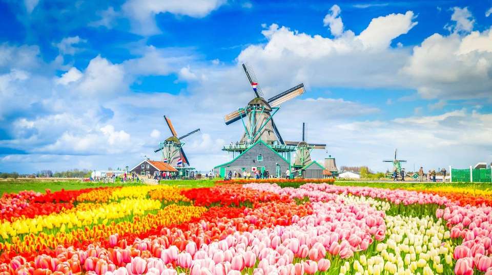 Electrifying Europe - Europamundo - France