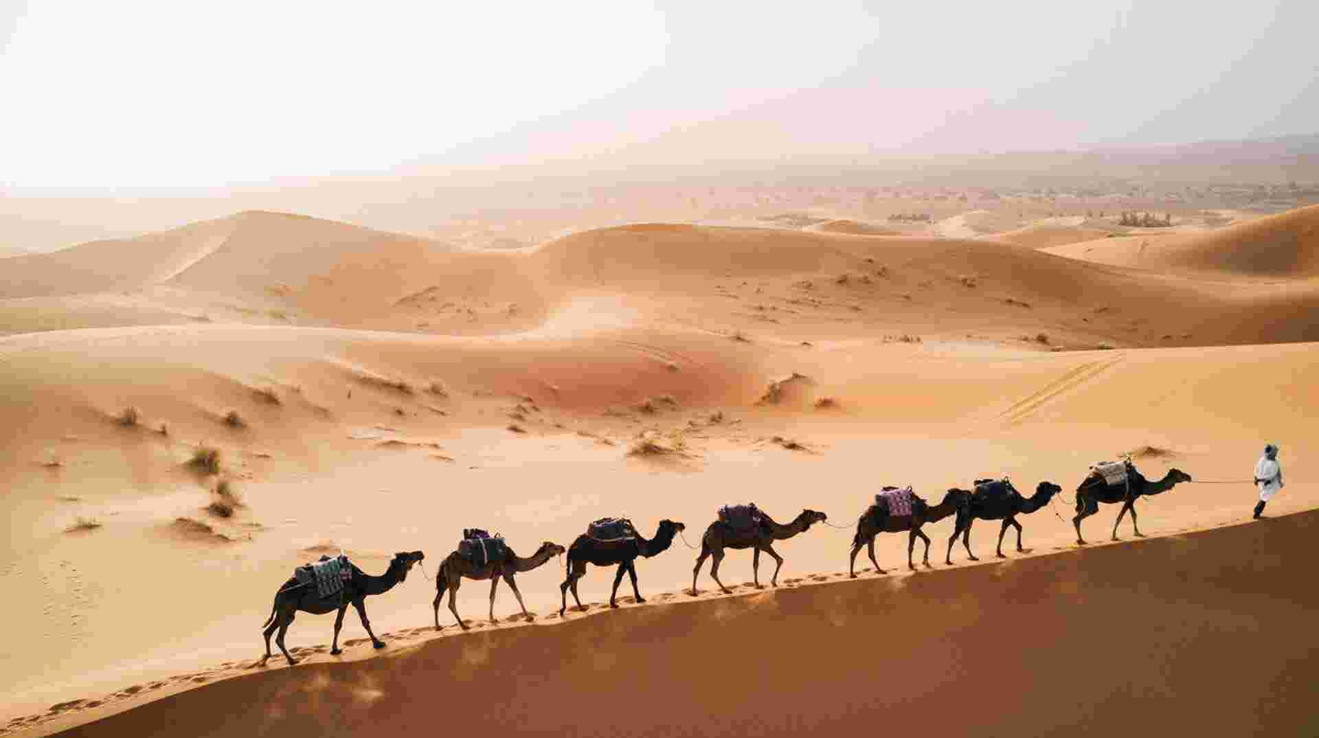 Madrid, Andalusia, Morocco and Lisbon