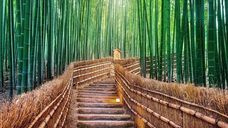 Lights Korea and Japan with Mount Fuji trip - alternative tour available