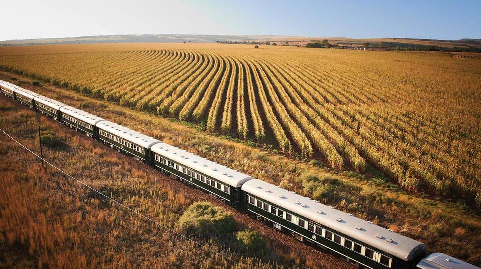 Cape Town, Kruger, Rovos Rail & Victoria Falls - undefined - Image 9
