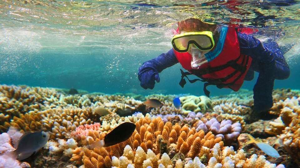 Brisbane to Daintree Rainforest - 9 Day Boutique Tour - undefined - Image 3