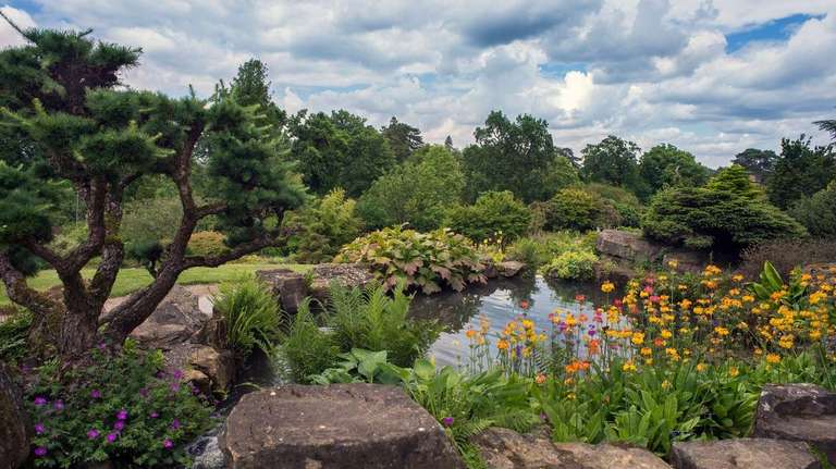 British Gardens and the Chelsea Flower Show trip - alternative tour available