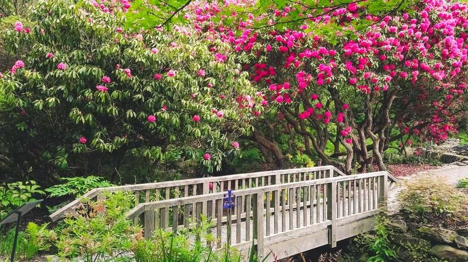 British Gardens and the Chelsea Flower Show - Insight Vacations - England