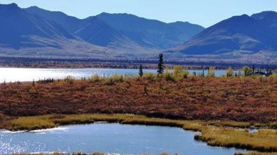 13-Day Alaska Highlights Lodging Tour - undefined - Image 6