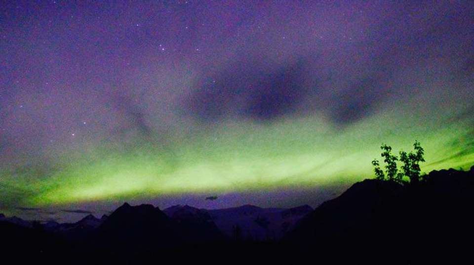 13-Day Alaska Highlights Lodging Tour - undefined - Image 7