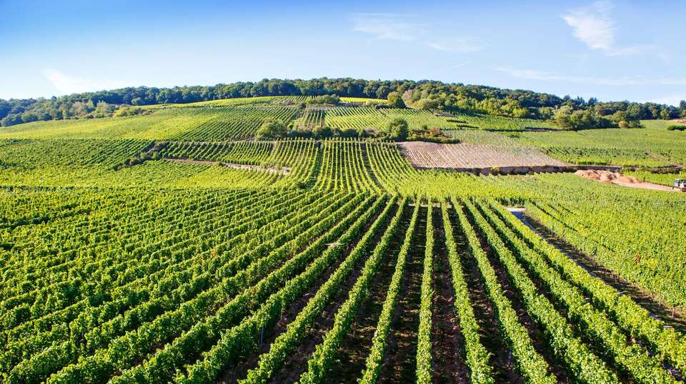 France and Switzerland ROT - Europamundo - France - Image 1