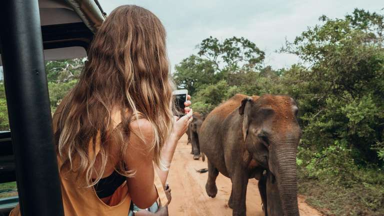 Best of Sri Lanka Highlights Tour trip - alternative tour available