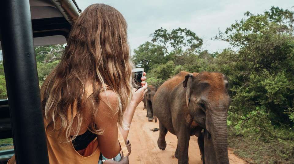 Best of Sri Lanka Highlights Tour - Tweet World Travel - Sri Lanka - Image 1