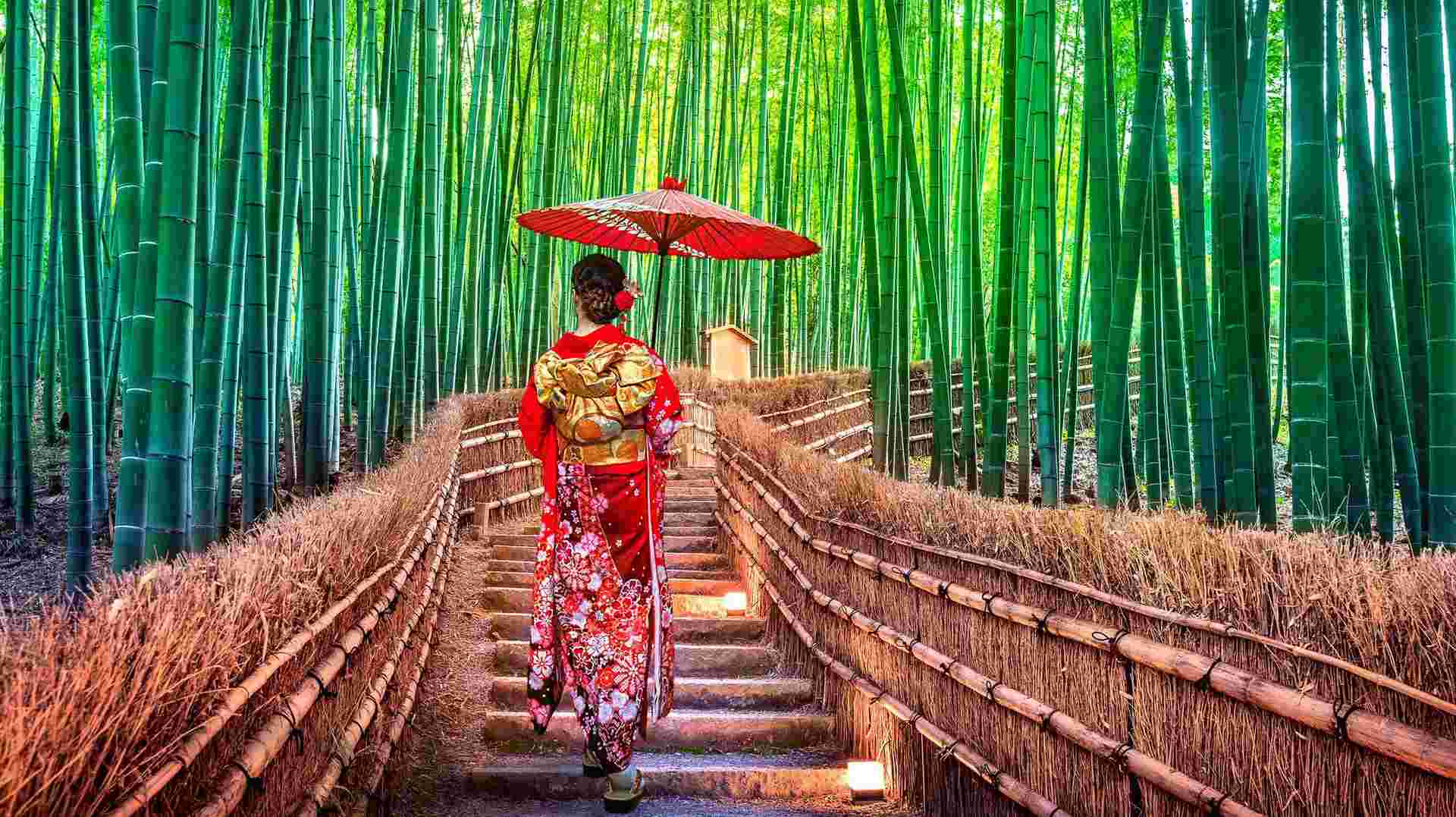 Best of Japan Small Group Tour