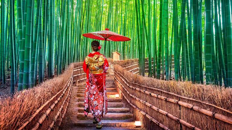 Osaka Natural landmarks sightseeing Tour: Best of Japan Small Group Tour