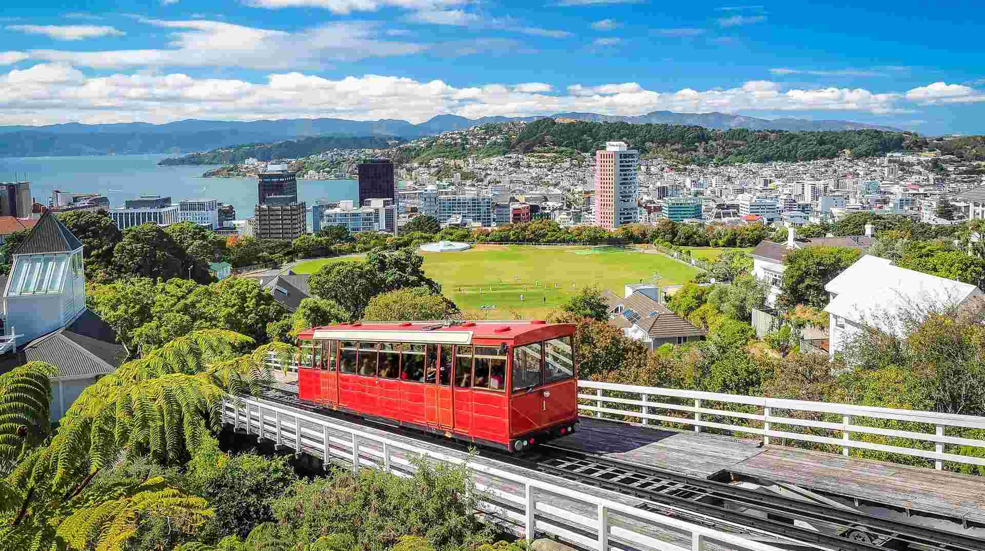 Delve Deep: New Zealand North Island