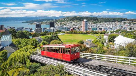 Auckland Natural Landmarks Sightseeing Tour: Delve Deep: New Zealand North Island