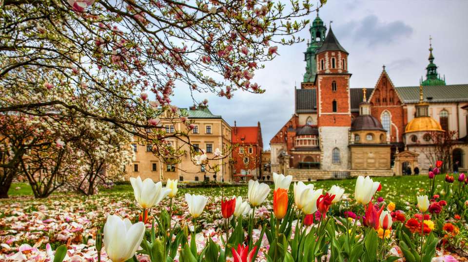 Christmas Markets of Poland, Prague and Germany - Insight Vacations - Poland - Image 3