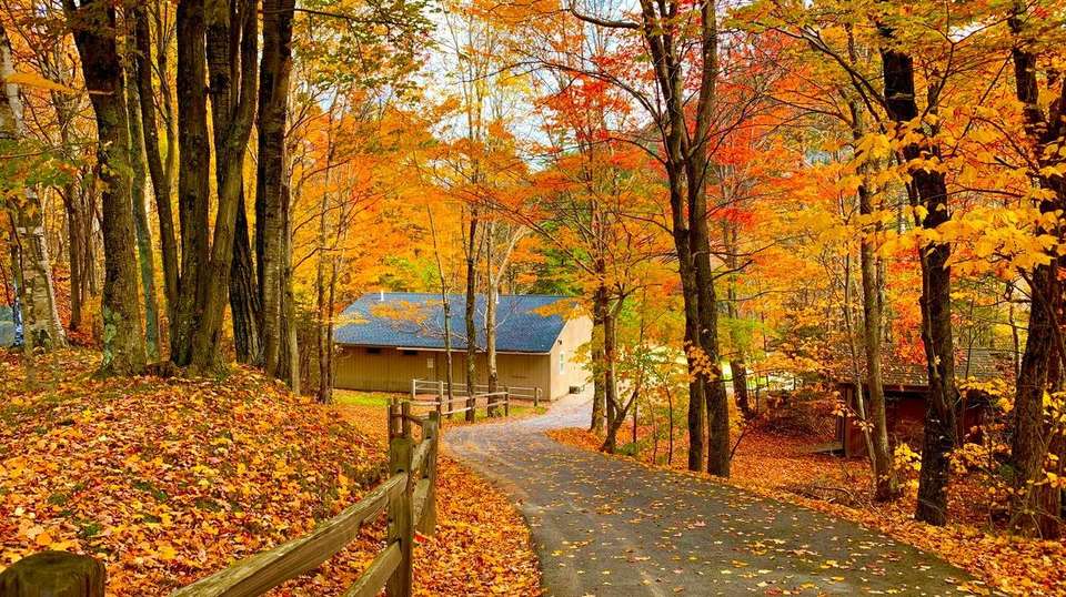 New England's Fall Foliage, a Women-Only Tour - Insight Vacations - USA - Image 2
