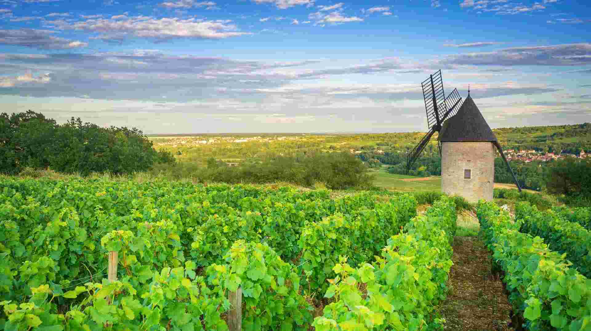 Cote d Azur, Burgundy, Alsace and Black Forest
