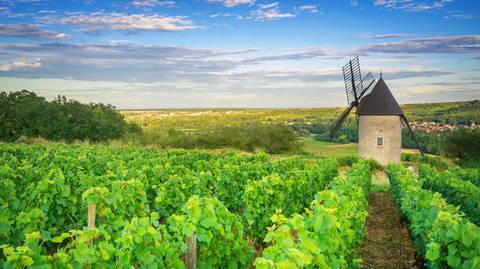 Cote D Azur, Burgundy, Alsace And Black Forest - October 2025