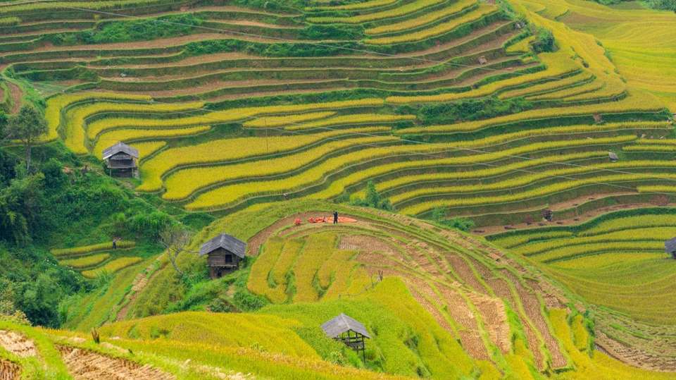 Best of Vietnam: Sapa Trekking, Halong Bay Cruise - Vietnam Tour 247 - Vietnam - Image 4